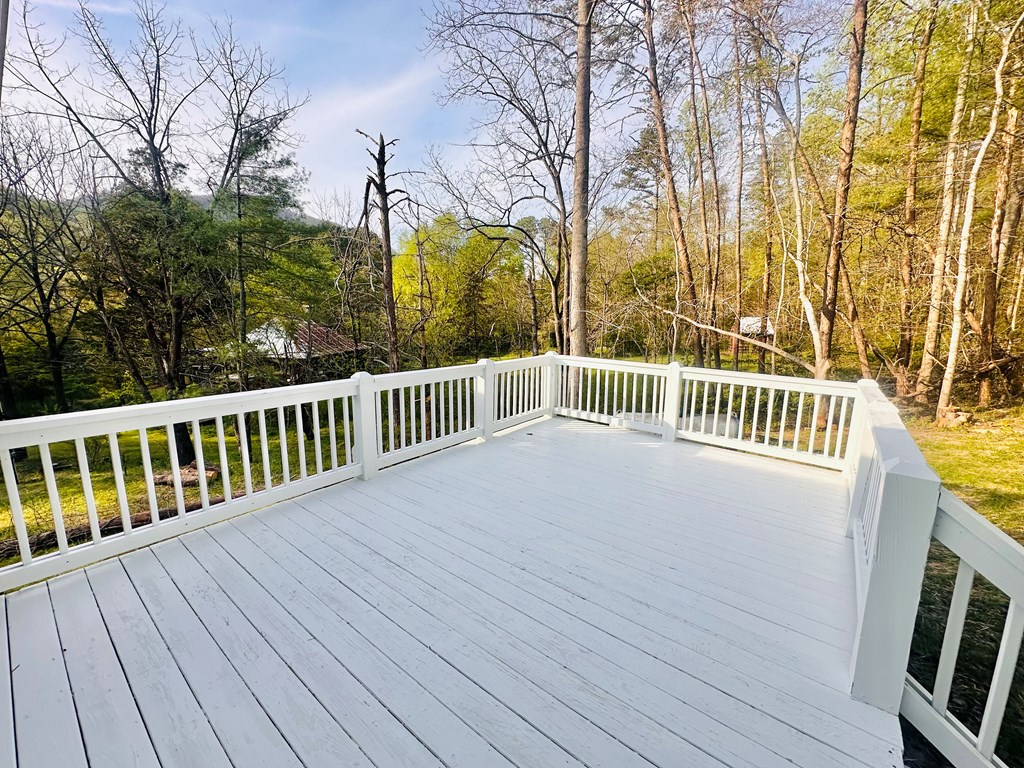 2960 Trackrock Church Road Blairsville, GA 30512 - Photo 4 of 52
