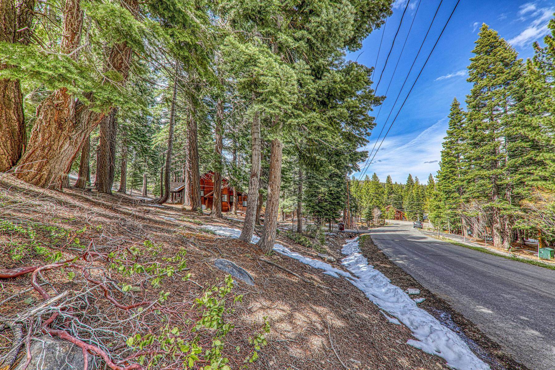 12388 Falcon Point Place Truckee, CA 96161 - Photo 4 of 8