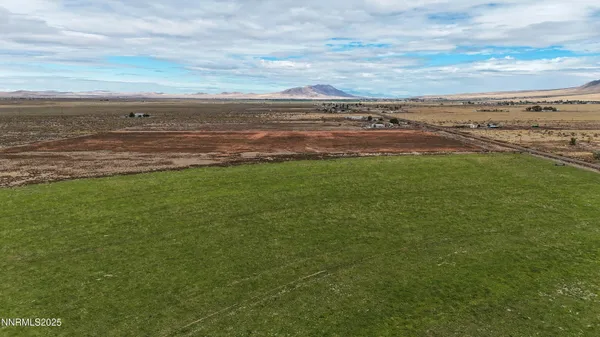 a view of a big yard