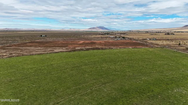a view of a big yard