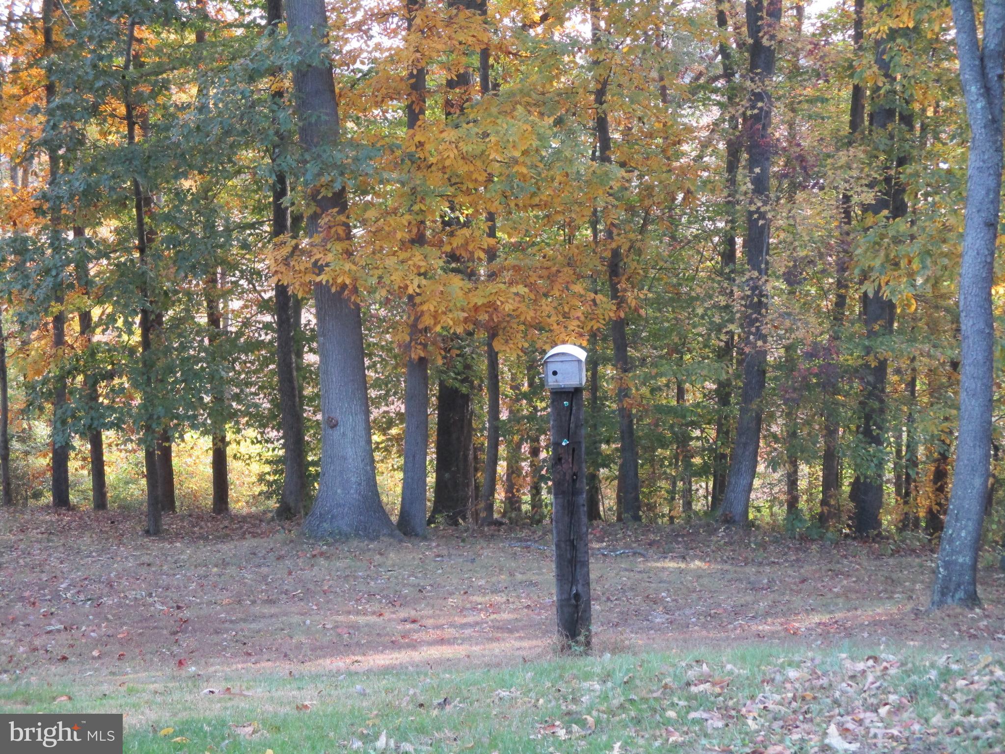 Beautiful View Lot Oldfield Point Road Elkton, MD 21921 - Photo 38 of 44 a view of a park with large trees