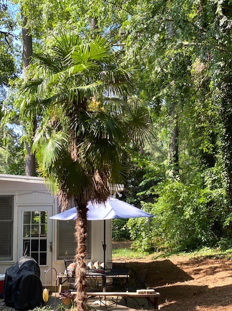 305 Kings Chapel Road Augusta, GA 30907 - Photo 28 of 43
