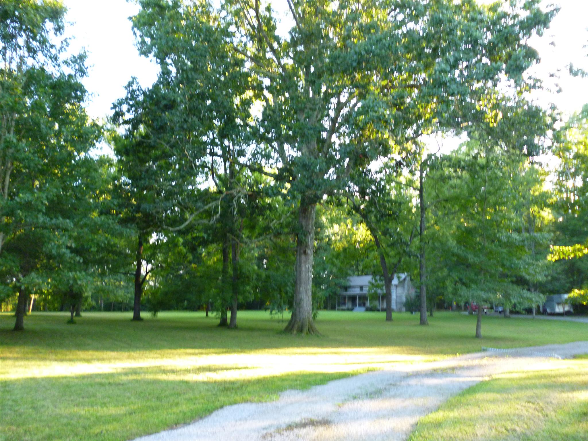 1903 Pickle Road Lewisburg, TN 37091 - Photo 22 of 25 Gallery Image 22