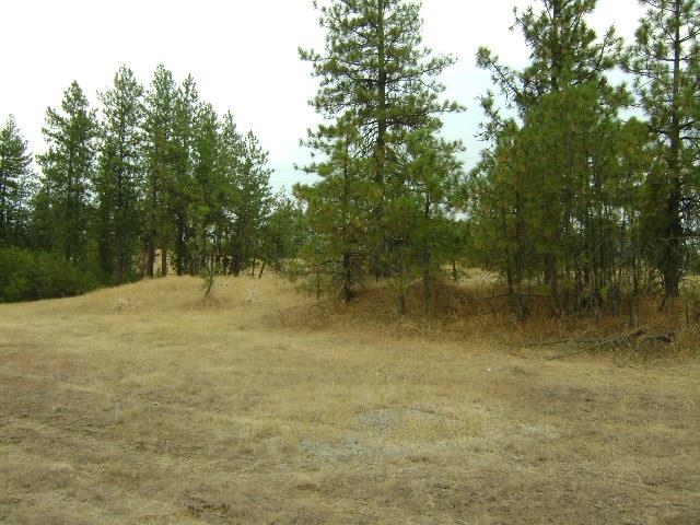 Tbd West 28th Avenue Spokane, WA 99224 - Photo 4 of 10