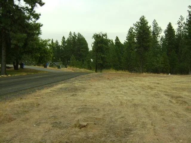 $54,000 | Tbd West 28th Avenue, Spokane, WA 99224