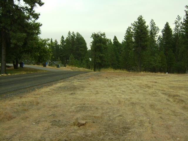 Tbd West 28th Avenue Spokane, WA 99224 - Photo 6 of 10