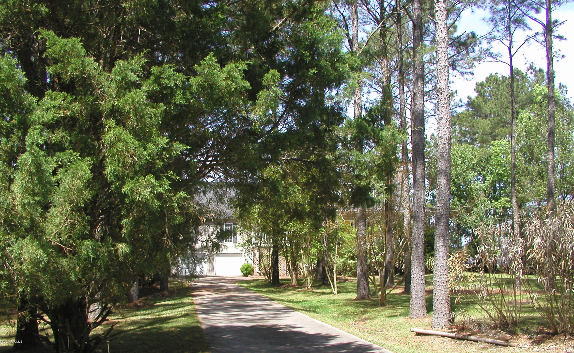 Front View 4