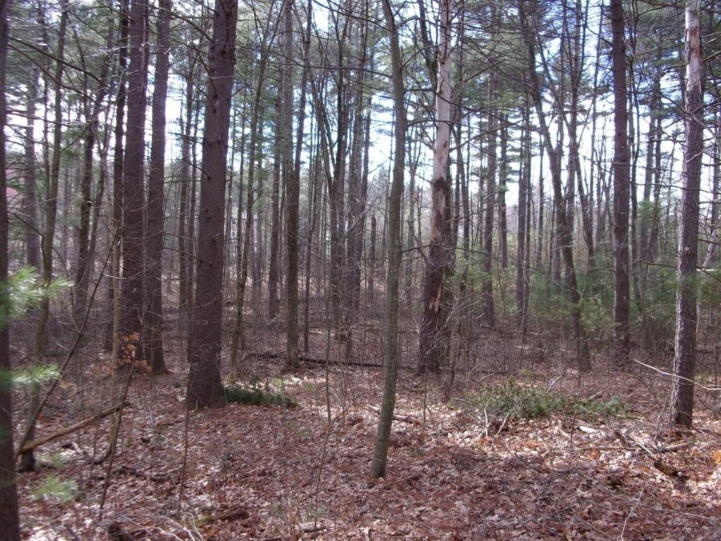 0 Beaver Road Ware, MA 01082 - Photo 4 of 15 Gallery Image 4