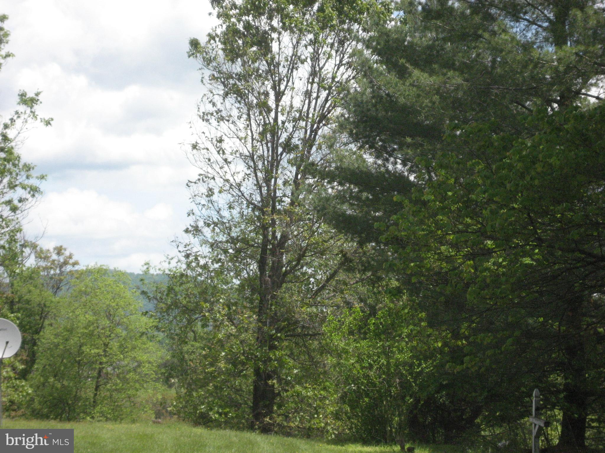 5625 Keyser Road Hume, VA 22639 - Photo 14 of 26 More mountain view is winter when leaves are off
