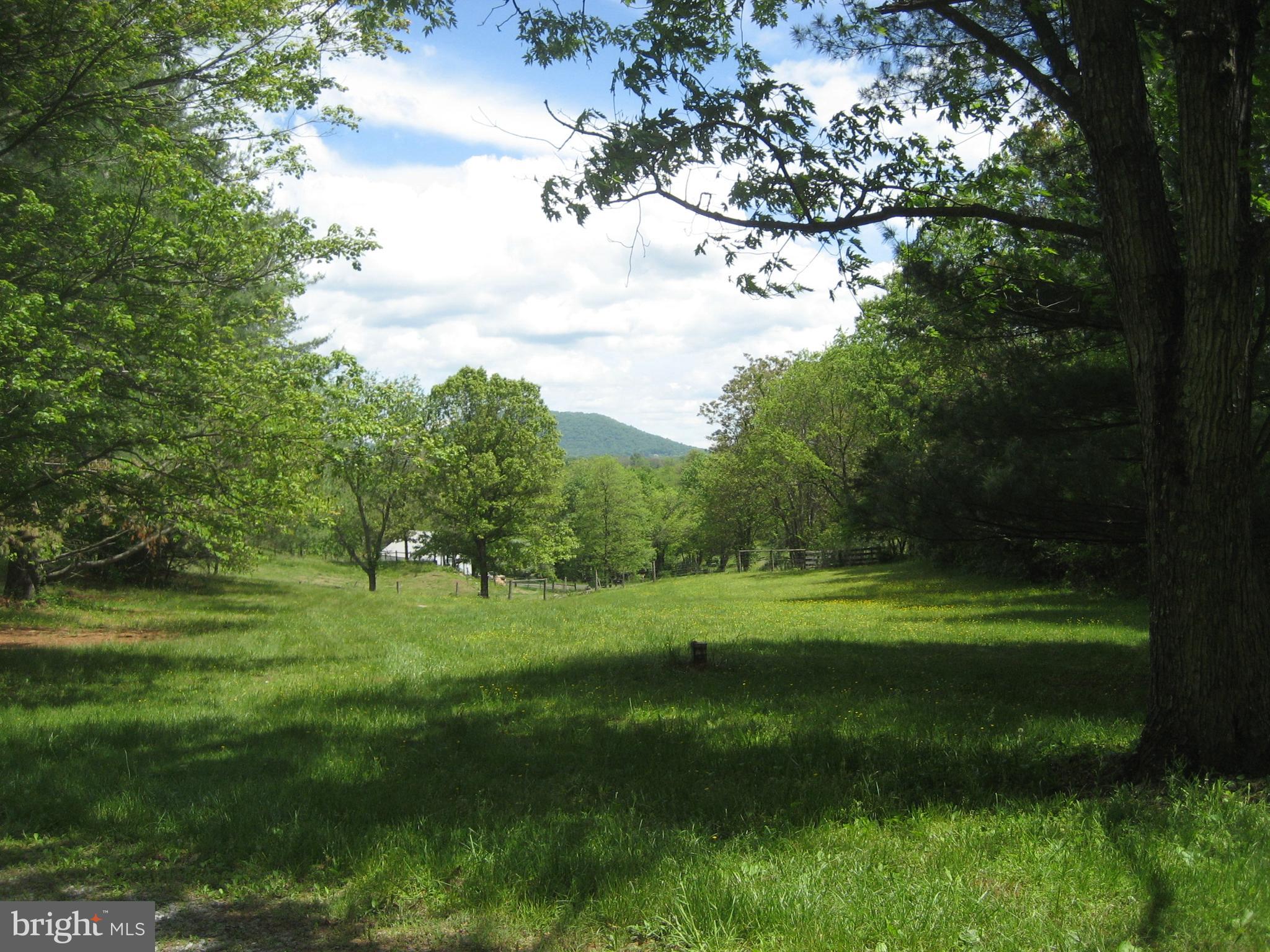 5625 Keyser Road Hume, VA 22639 - Photo 17 of 26 Catch that mountain view