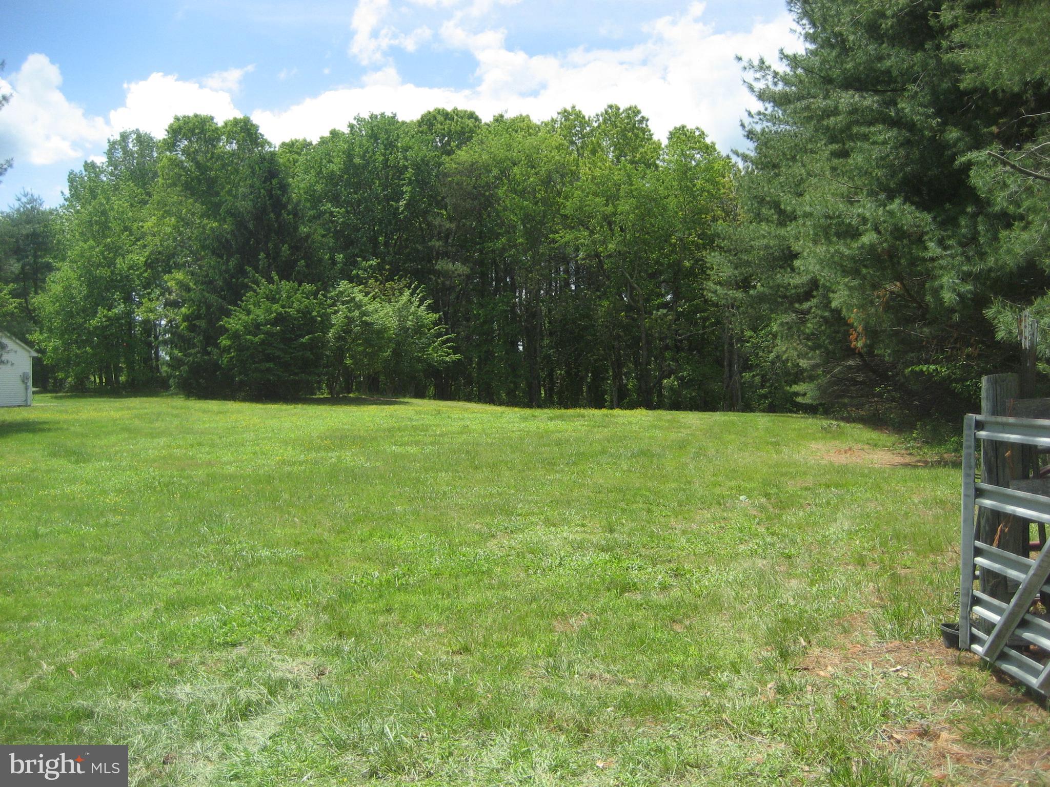 5625 Keyser Road Hume, VA 22639 - Photo 10 of 26 Side yard for games
