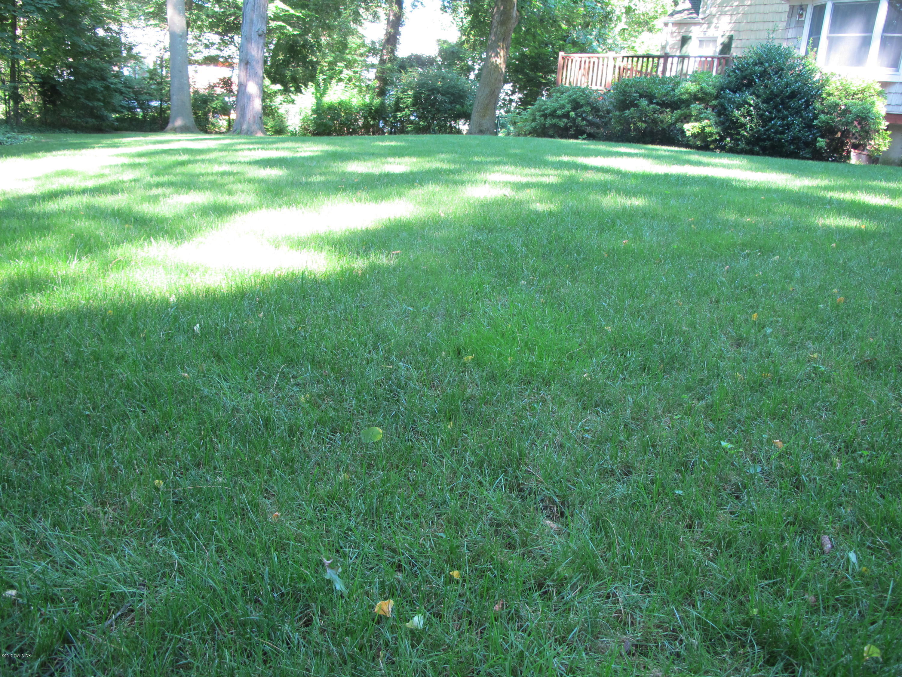 31 Pleasant Street Riverside, CT 06878 - Photo 6 of 21 IMG_2234