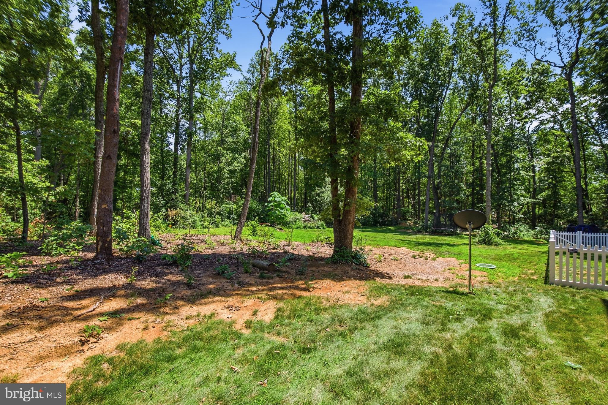 4065 Ensors Shop Road Midland, VA 22728 - Photo 49 of 53 Gallery Image 49