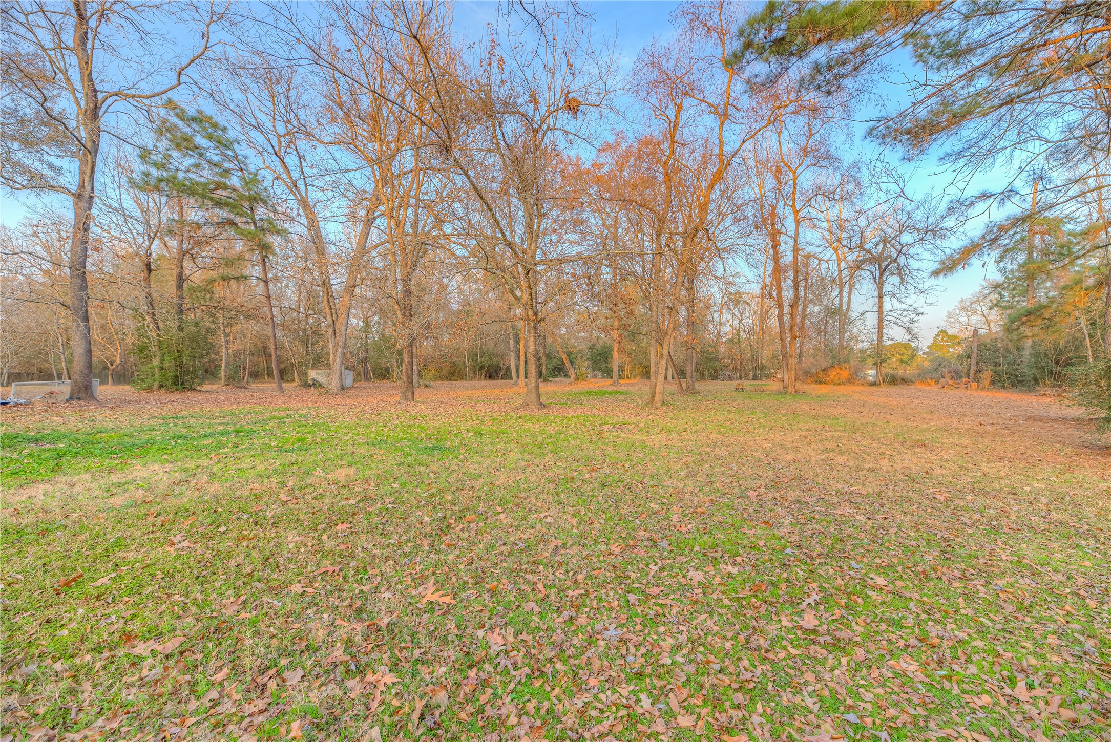 17709 Pine View Drive Conroe, TX 77302 - Photo 25 of 26 a view of a field with trees in the background