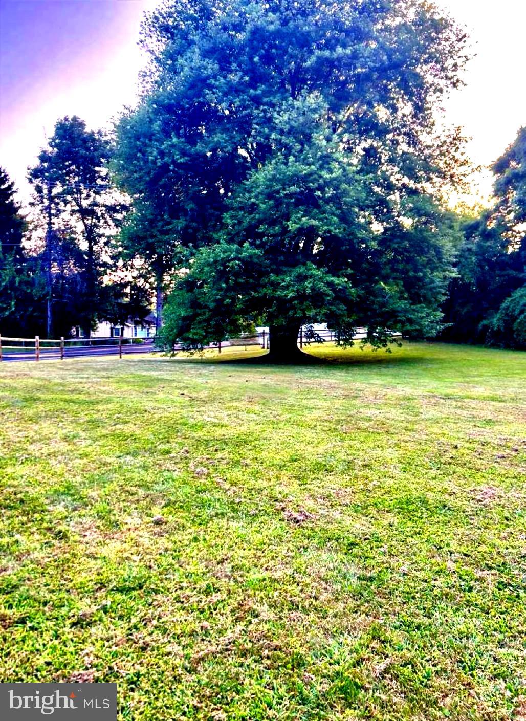 34 Houk Road Doylestown, PA 18901 - Photo 16 of 57 Spring / Summer