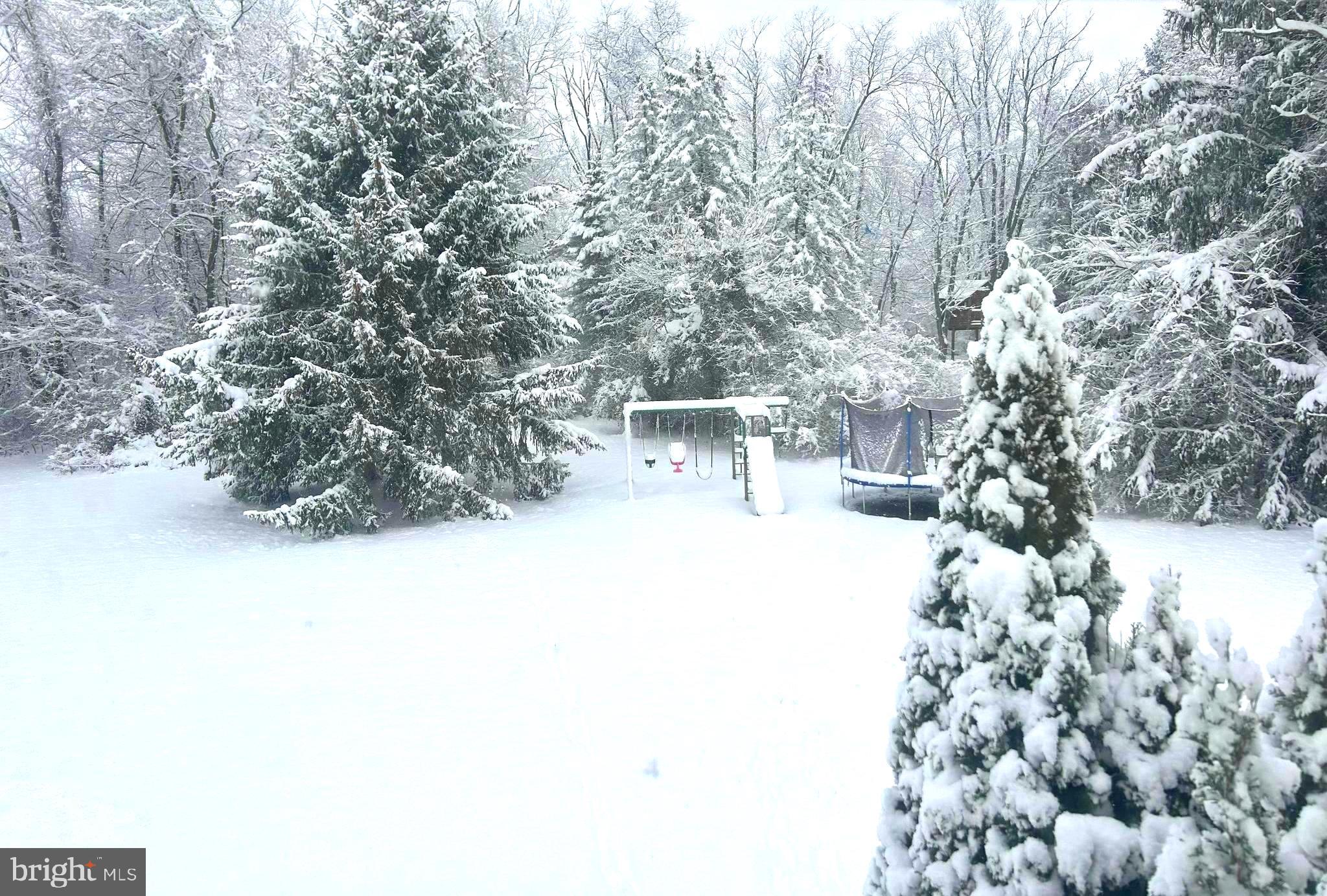 34 Houk Road Doylestown, PA 18901 - Photo 19 of 57 1 ACRE
PEACEFUL AND QUIET