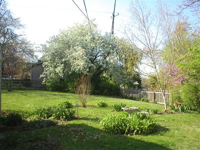 1957 Vicksburg Road Lexington, KY 40504 - Photo 8 of 11 Backyard