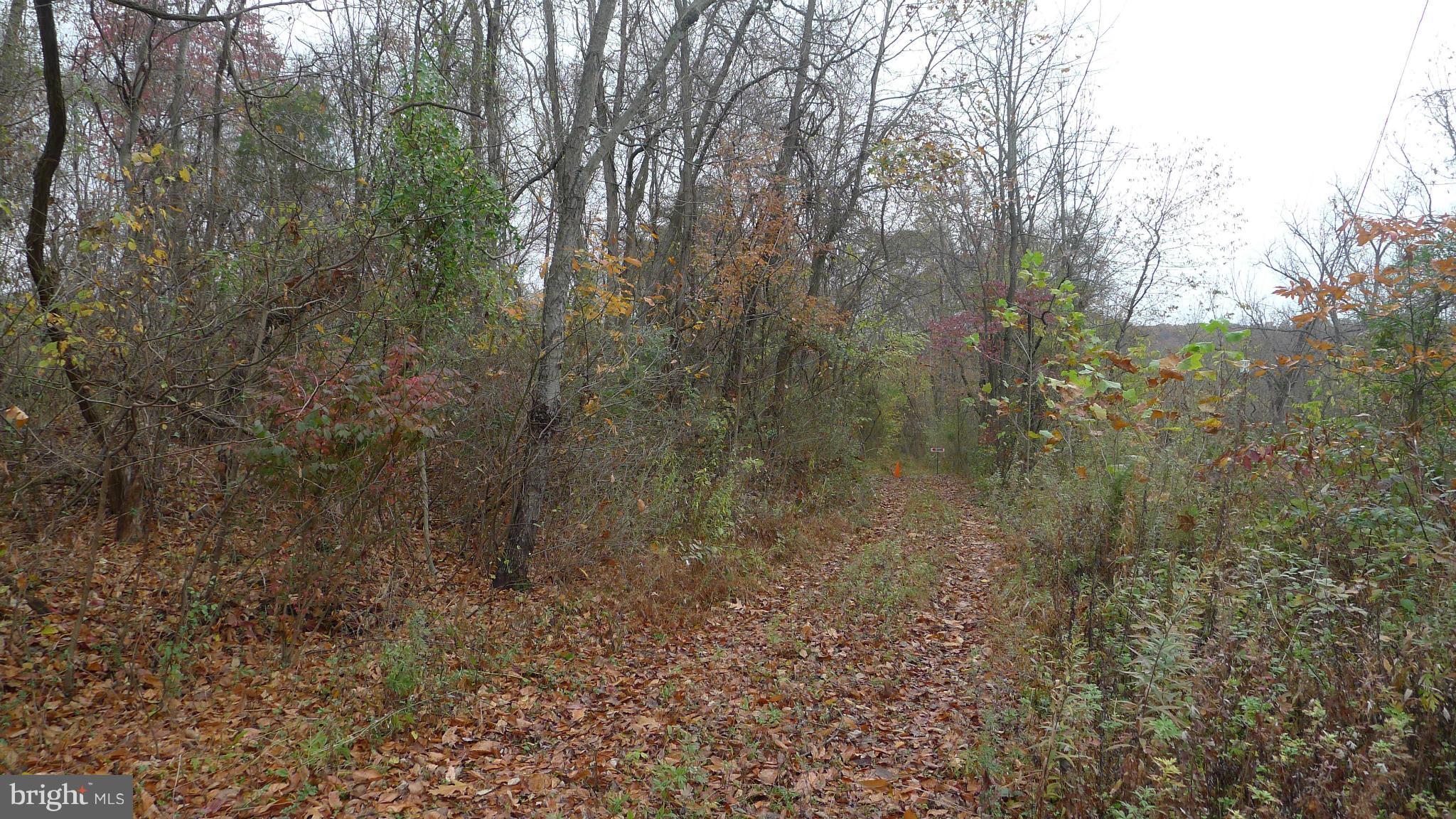 109 Charcoal Road Falling Waters, WV 25419 - Photo 5 of 13 Exterior (General)