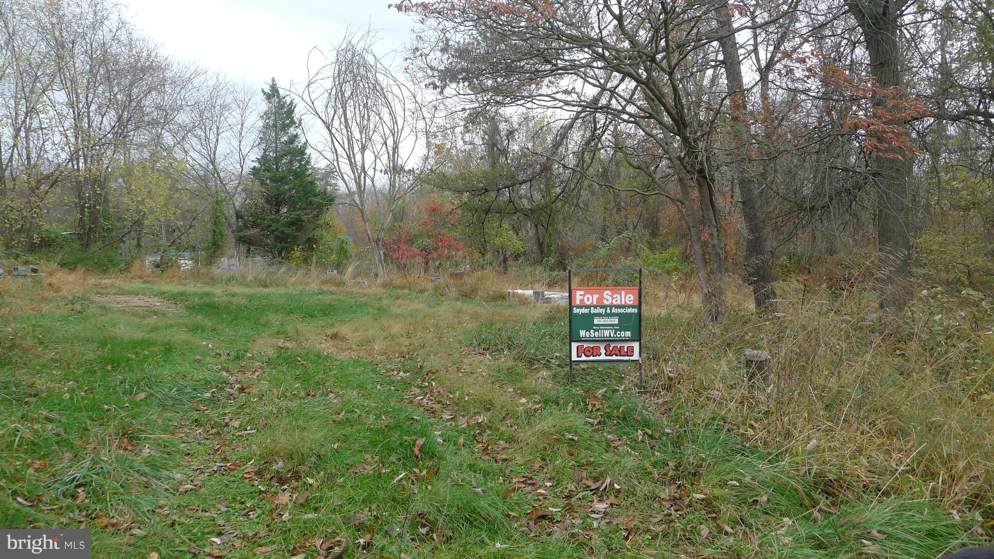 109 Charcoal Road Falling Waters, WV 25419 - Photo 6 of 13 View