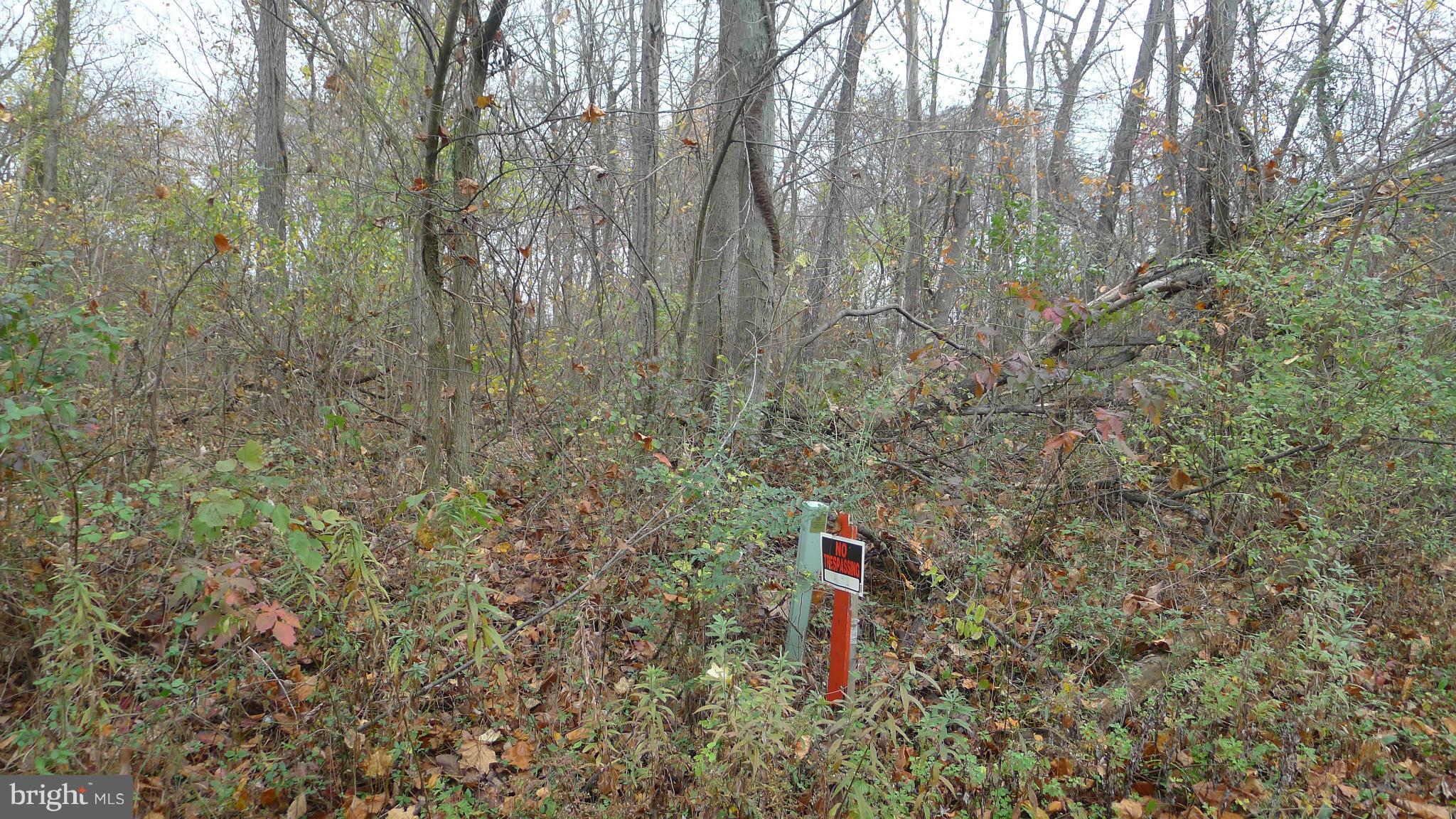 109 Charcoal Road Falling Waters, WV 25419 - Photo 10 of 13 Exterior (General)
