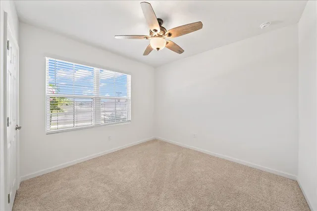 a view of a backyard with a garden and plants