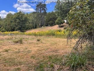2890 Big Pigeon Road Procious, WV 25164 - Photo 15 of 43 Gallery Image 15