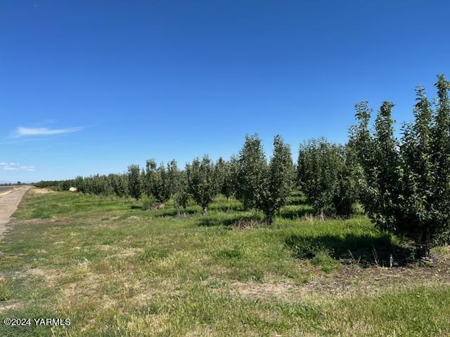 Nka Lateral A Road Wapato, WA 98951 - Photo 2 of 2 a view of a lush green space
