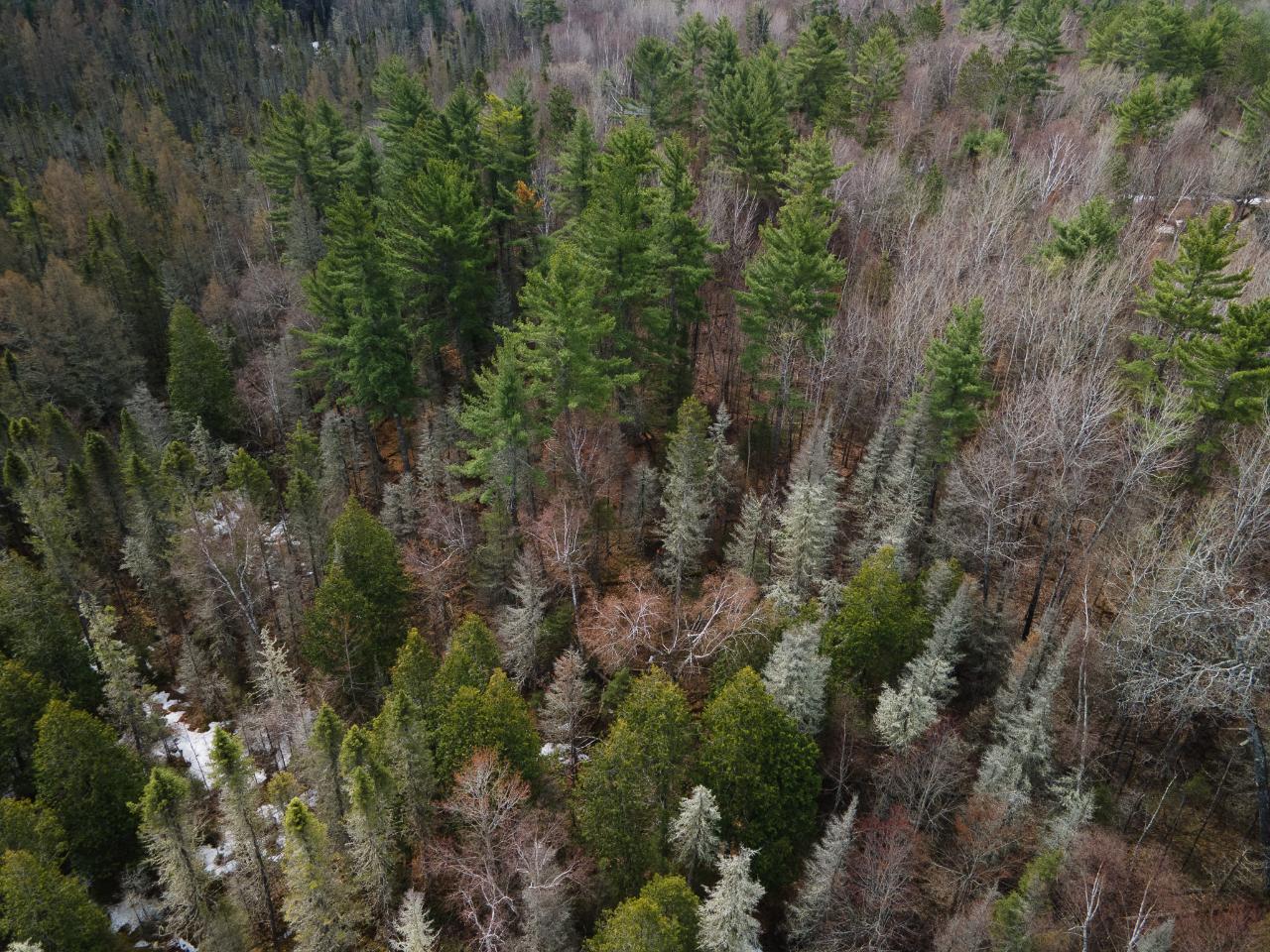 On Deerskin Park Road Eagle River, WI 54521 - Photo 25 of 25 Gallery Image 25