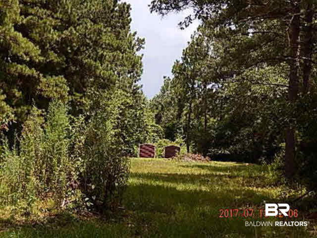0 Country Squire Lane Stapleton, AL 36578 - Photo 3 of 5