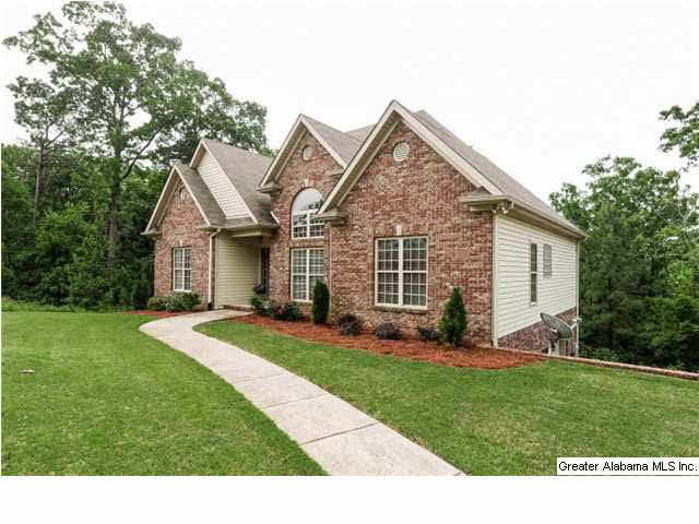 403 Pats Way Springville, AL 35146 - Photo 3 of 32
