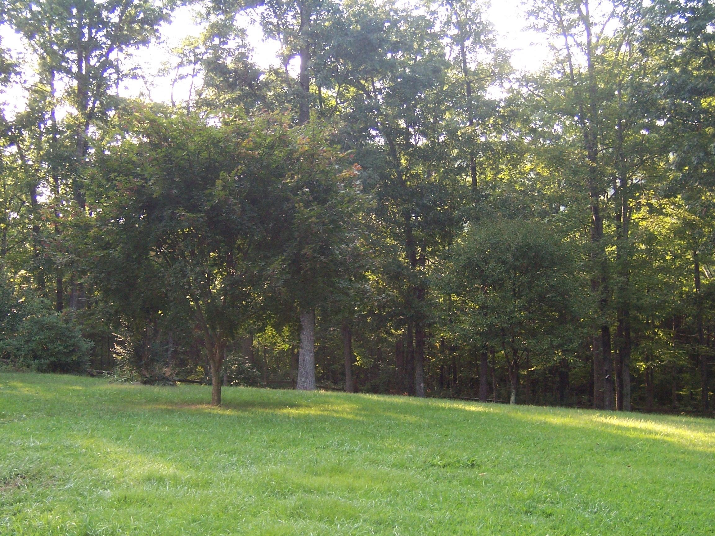 6.31 acres