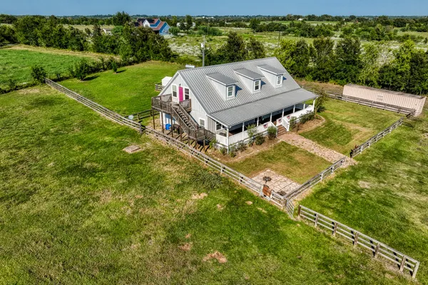 a view of a big yard with potted plants and large tree
