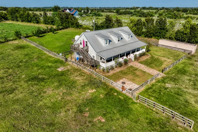 a view of a big yard with potted plants and large tree