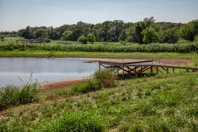 a view of a lake with a yard and large trees