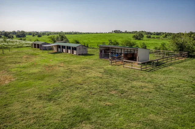 a view of a garden with lawn chairs