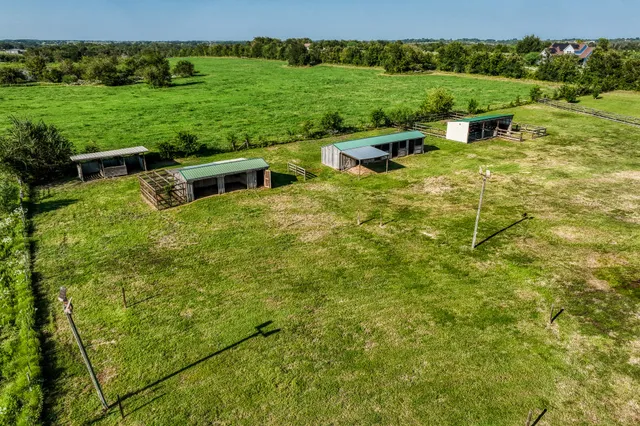 a view of a garden with plants and large trees