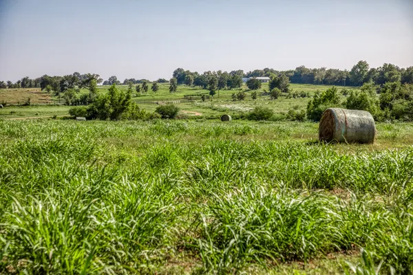 a view of a lush green field