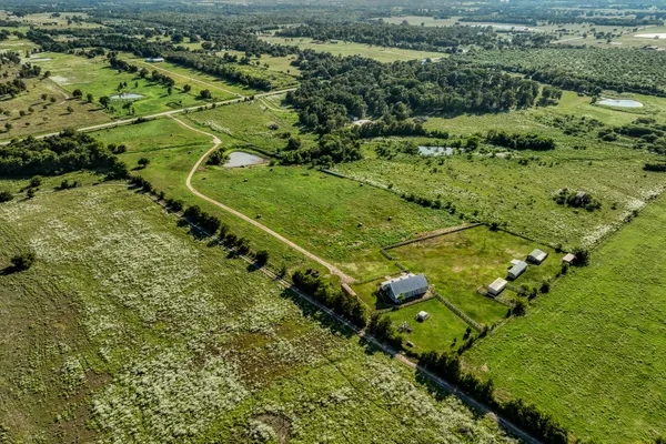 a view of a yard with plants