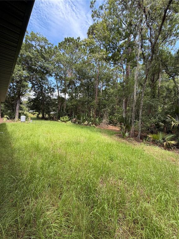 1438 Lake Harney Road Geneva, FL 32732 - Photo 15 of 17