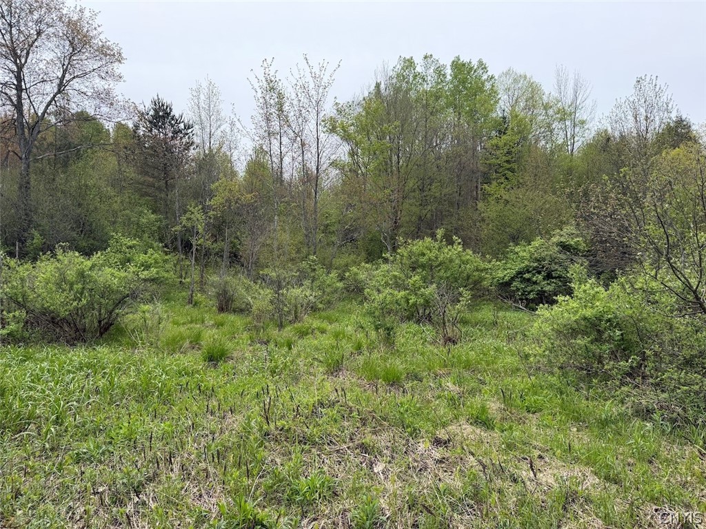 Reynolds Road Franklinville, NY 14737 - Photo 18 of 38