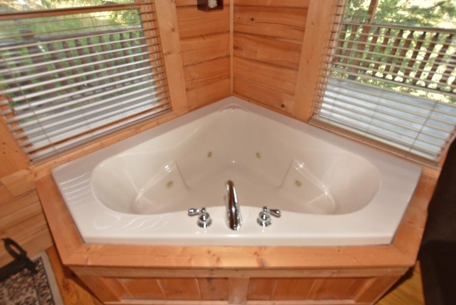 3535 Carsons Ridge Way Sevierville, TN 37862 - Photo 12 of 32 L