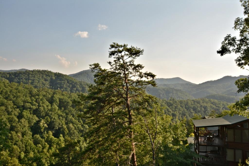3535 Carsons Ridge Way Sevierville, TN 37862 - Photo 32 of 32 ZI