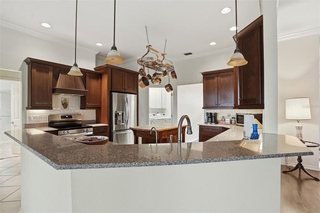 14228 Presteign Lane Spring Hill, FL 34609 - Photo 32 of 89 a kitchen with kitchen island granite countertop a sink a counter top space and cabinets