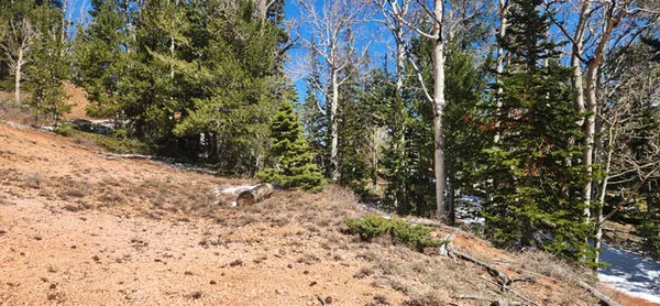 $68,000 | 590 West Kokopelli Loop, Brian Head, UT 84719