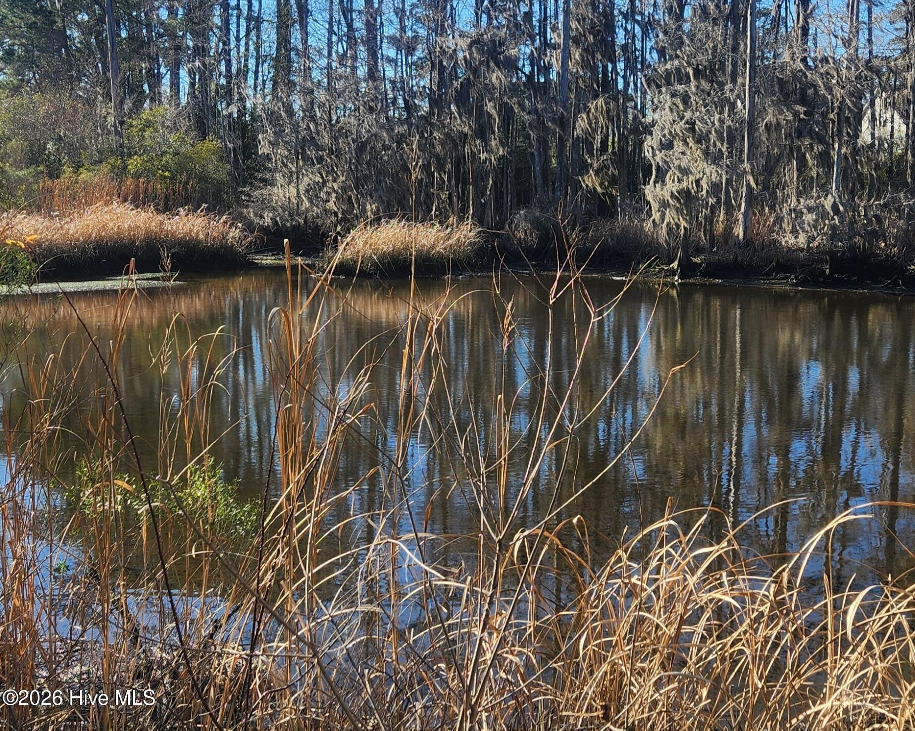 3806 Appleton Way Wilmington, NC 28412 - Photo 20 of 21 20260119_143933