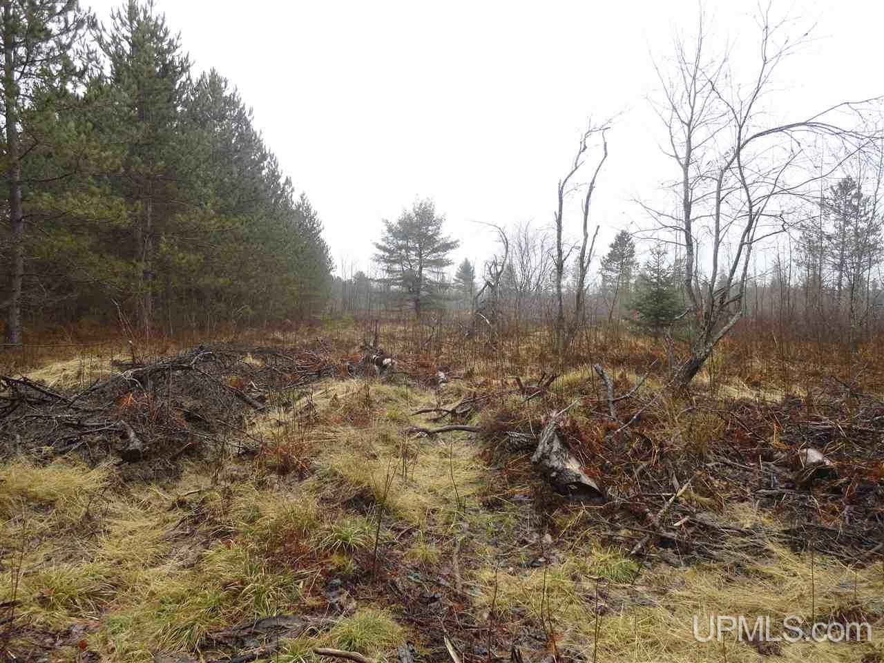 36-acres Off Flodin Road Manistique, MI 49854 - Photo 1 of 13