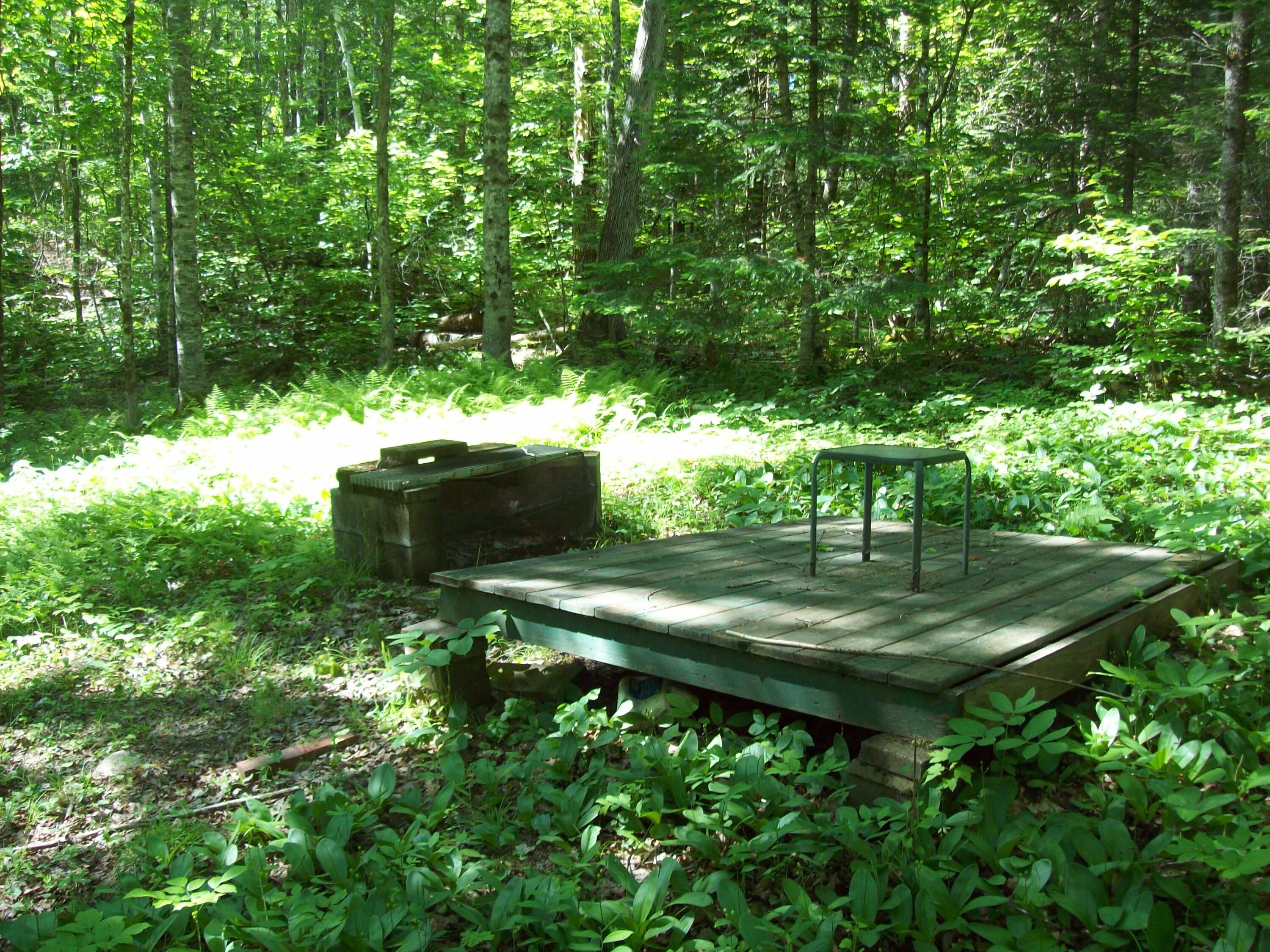 Tbd McGinley Road Springfield, ME 04487 - Photo 7 of 20 100_2883
