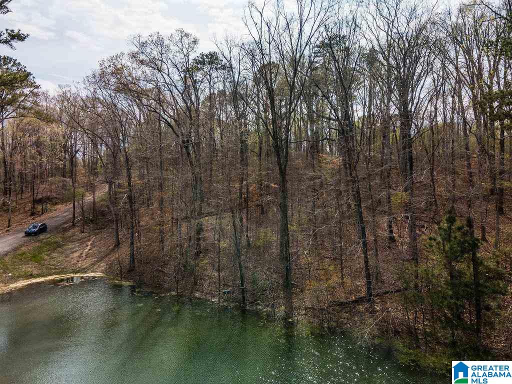 Smith Lake Dam Road Jasper, AL 35504 - Photo 7 of 15