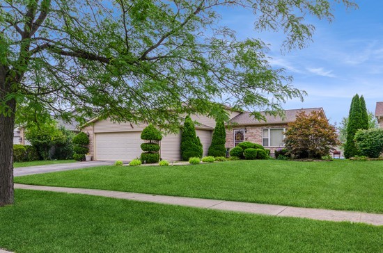 509 Farmview Road University Park, IL 60484 - Photo 12 of 19 a front view of a house with a yard and trees
