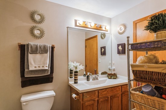 509 Farmview Road University Park, IL 60484 - Photo 6 of 19 a bathroom with a sink a mirror and a toilet
